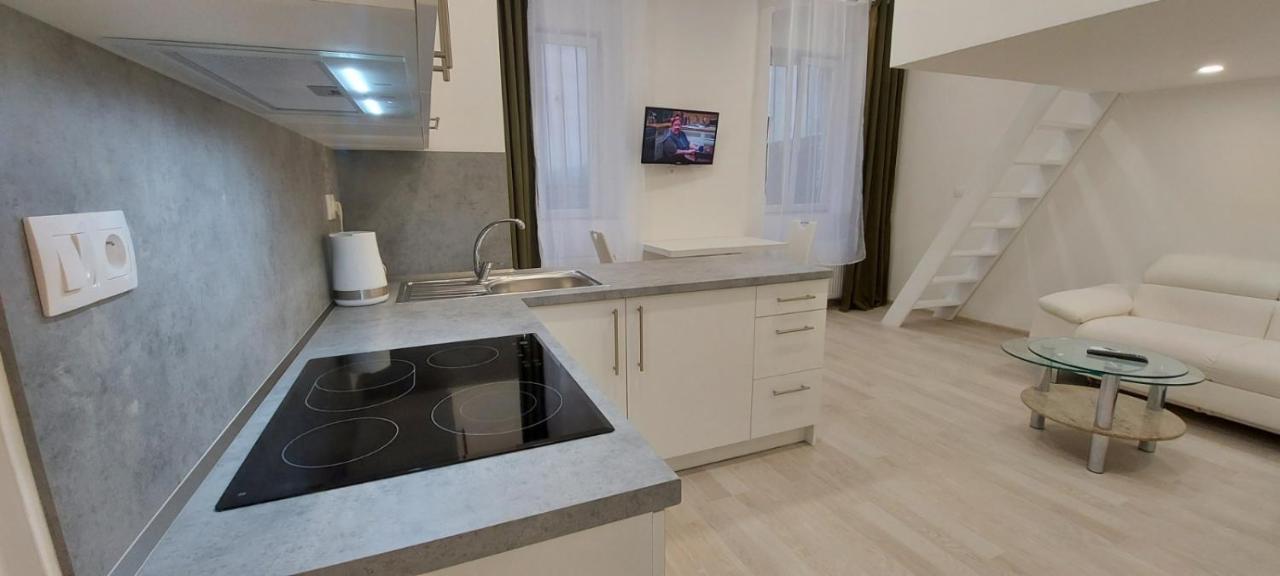 Apartment Krale Jiriho การ์โลวีวารี ภายนอก รูปภาพ
